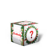 Christmas Mystery Buddy Box 2025