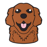 Budz | Retriever