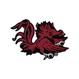 Budz | South Carolina Gamecocks